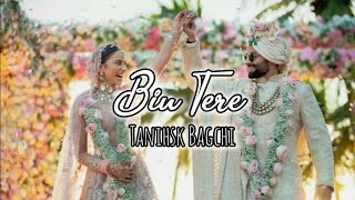 Bin Tere  Rakulpreet Singh ❤️ Jackky Bhagnani Only Lyrics  Bin Tere Tanishsk Bagchi Lyrics [upl. by Adamek]