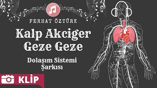 Dolaşım Sistemi Şarkısı  Kalp Akciğer Geze Geze [upl. by Iramo]