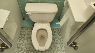 2000s Crane Plumbing Rexmont toilet w mismatched Eljer Patriot tank [upl. by Okier]