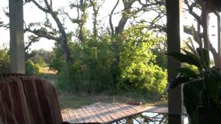 20 Acre Gentlemans Ranch For Sale Near Austin TX [upl. by Eimaraj]