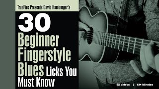 30 Beginner Fingerstyle Blues Licks  Intro  David Hamburger [upl. by Sulihpoeht571]