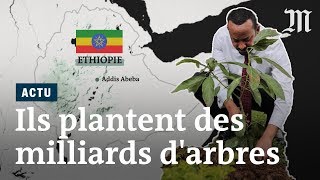 LEthiopie plante quatre milliards d’arbres en six mois [upl. by Shadow]