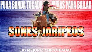 Los Mejores Sones Jaripeos con Banda Tocada Mix de Sones 2024 Puras Para Bailar [upl. by Ilrebmyk157]