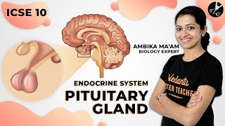 ICSE class 10th Biology Circulatory System Part 3 [upl. by Prescott627]