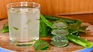 Aloe vera para gastritis y reflujo  Como hacer gel de aloe vera casero y conservarlo 💚 [upl. by Orlan]