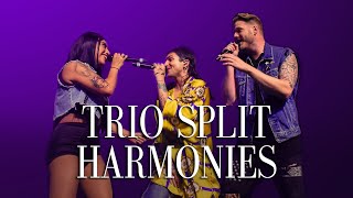 Pentatonix Trio  Split Harmonies [upl. by Cristy921]