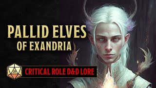 What are Pallid Elves in DampD  Critical Role Exandria Lore  Dungeons and Dragons [upl. by Ssyla]