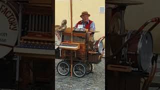 Organ grinder on Charles Bridge shorts [upl. by Kayla]