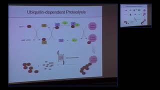 Scientist Stories Craig Crews  CoFounder of Arvinas a pioneer in targeted protein degradation [upl. by Dagall]