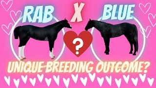 RABICANO X BLUE ROAN  UNIQUES BREEDING OUTCOME Wild Horse Islands horse game on Roblox 2023 [upl. by Cordula]