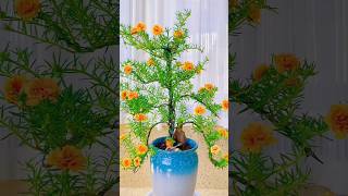 Modern gardening ideas for homeshorts gardening flowers [upl. by Angelia]