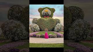 Dubai Miracle GardenBeautiful dubai [upl. by Aramal]