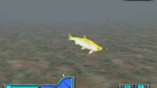 Me fishing in Pro Bass Fishing 2003 [upl. by Nyram]