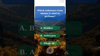 General knowledge quiz part 71 generalknowledge generalknowledgequiz challenge quiz gk funquiz [upl. by Storm153]