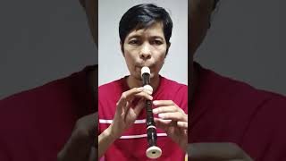 Happy birthday to you Recorder Flute Flute music [upl. by Nesyrb]