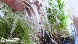 Washing Broccoli Sprouts with Steve Meyerowitz [upl. by Merissa465]