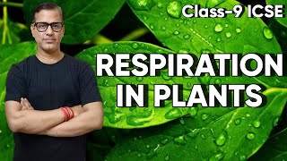 Respiration in Plants ICSE Class 9  Plant Physiology Class 9 ICSE  sirtarunrupani [upl. by Rockafellow]