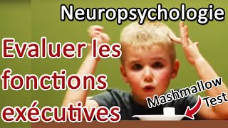 NEUROPSY Les stratégies dévaluation des fonctions exécutives [upl. by Conner]