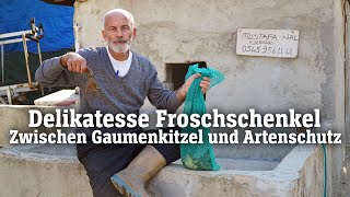 Delikatesse Froschschenkel Zwischen Gaumenkitzel und Artenschutz SPIEGEL TV für ARTE Re [upl. by Adiesirb276]