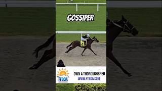 Gossiper closing strong and winning race 1 GulfstreamPark [upl. by Fari]