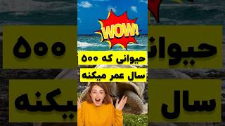 حیوانی که تا ۵۰۰ سال عمر میکند؟؟؟ [upl. by Hehre]