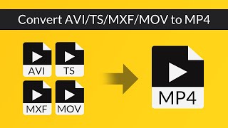 MTS Converter  How to Converter TSMTSM2TS to MP4AVIMKV [upl. by Anastatius]