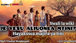 YESU ALIULAANI MTINI KWA KOSA GANI Hayakuwa majira ya tini by Mwl Vincent Mwakisyala [upl. by Itch588]