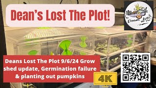 Deans Lost The Plot 9624 Grow shed update Germination failure amp planting out pumpkins [upl. by Aihsekyw]