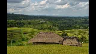 Rizières de Jatiluwih  Bali  Indonésie [upl. by Alleirbag]