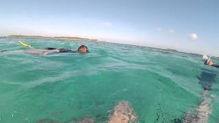 Snorkeling Normans Cay Sunken DC3 GoPro HD [upl. by Alberik]