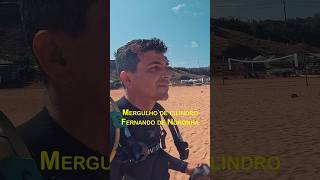 Mergulhar é maravilhoso Fizemos o mergulho com a Maravista mergulho noronha tubarão natureza [upl. by Dawaj]