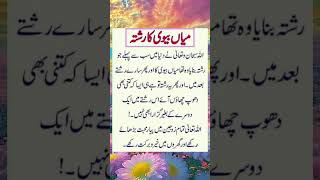 میاں بیوی کا رشتہ flute music cover ringtone recorder quotes ncsringtone musiclove poetry [upl. by Ydnor481]