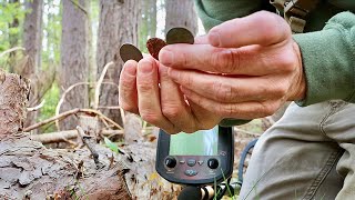 One coin leads to another metal detecting this spot [upl. by Samau]