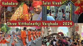 Vitthalnathji No Varghodo 2024  Dev Uthani Ekadashi  Tulsi Vivah  Vitthal Mandir Mandvi Vadodara [upl. by Yorgos]