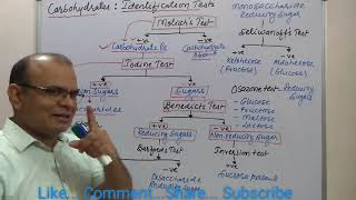 Carbohydrates  Identification Test [upl. by Ahsyak]