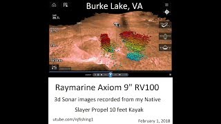 Burke Lake fish 3D sonar images by Raymarine Axiom 9quot RV100 3d transducer [upl. by Crescantia]