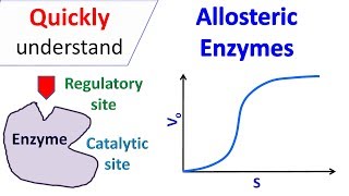 Allosteric enzymes [upl. by Tuorah867]