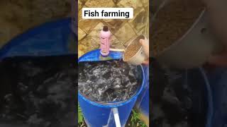 Fish farming made easy [upl. by Phio]