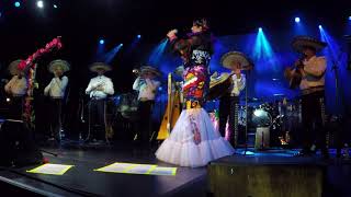 Lila Downs  Mariachi Real De Mexico  Cielo Rojo [upl. by Gio]