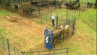 Priefert Small Cattle Working Systems [upl. by Zumwalt]