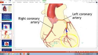 Beta blockers use in MI and ischemic heart disease [upl. by Troyes198]