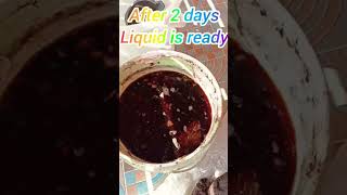 •Free liquid fertilizer from cow dung gardening farming fertilizer youtubeshorts shorts [upl. by Abdel]