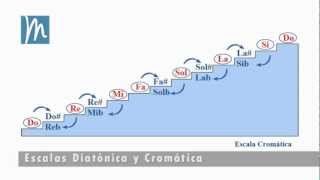 La escala cromática explicada en 7 minutos  Tonos y semitonos [upl. by Ammon]