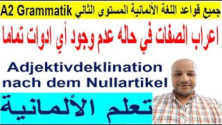 29 Adjektivdeklination nach dem Nullartikel [upl. by Atkinson]