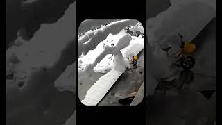 Unexpected Snowfall Hits a Working Woman Her Reaction Will Shock You [upl. by Devol]