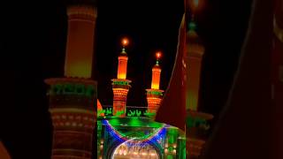 Roza E Ibnal Amiral Momneen yaali shortsvideo karbala [upl. by Eicrad]