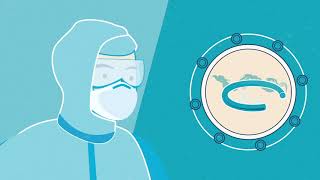 Causes of elastomer Oring and seal failure  Outgassing [upl. by Fasano937]