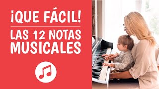 Las 12 NOTAS MUSICALES Explicadas ¡Así de Simple [upl. by Benjy]