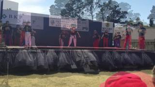 West Coast World Martial Arts Hollister Demo Team Artichoke Festival 2016 [upl. by Mattland]