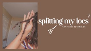 Splitting my locs with scissors  2 years locd  Tati Amiah [upl. by Nolram488]